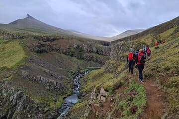 Hikers on the trail