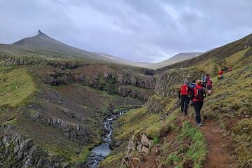 Hikers on the trail