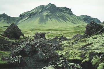 Moss and lava rocks