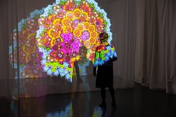 In the House of Collections: Installation view of Video Installation DeCore (aurae), 2012 by Dodda Maggý, b. 1981
