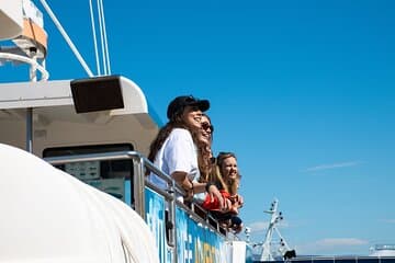 Enjoy the fresh sea air and stunning views as you search for whales along Iceland’s coast on a Whale Watching tour from Reykjavík.