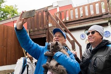 Discover the city alongside curious and friendly cats