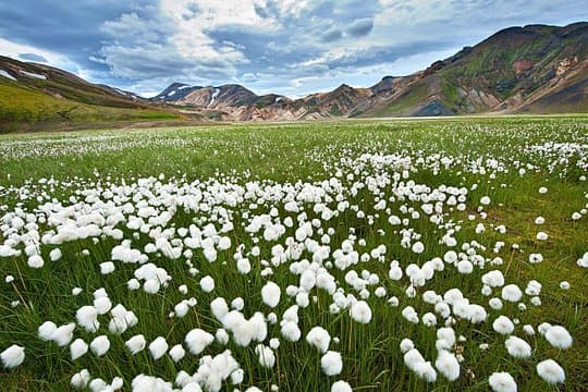 3 Days Iceland Private Super Jeep Tour Highlands & Golden Circle