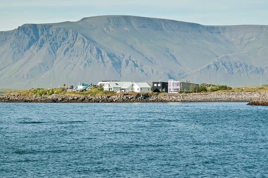 Private Shore Tour: Best Value Whale Watching from Reykjavik