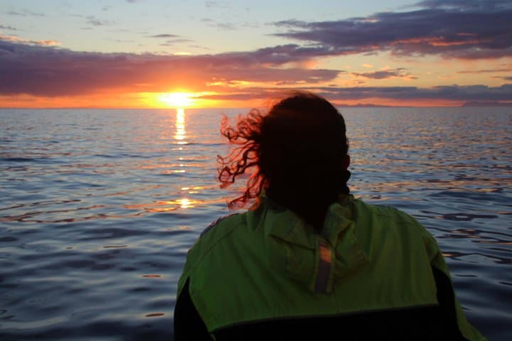 Midnight Sun Whale & Puffin watching from Reykjavik