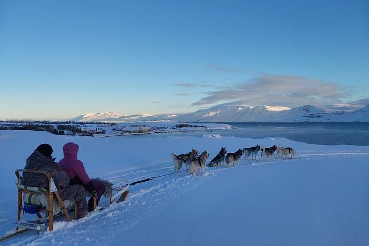 Private Dog Sledding in Akureyri