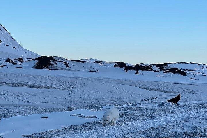 Tour Privado Círculo de Plata desde Reikiavik