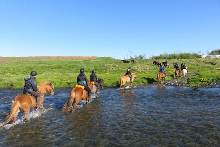 The Siggi Tour from Reykjavík: 1.5 to 2-Hour Ride