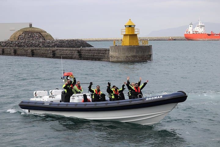 RIB Whale Expedition Speed Adventure