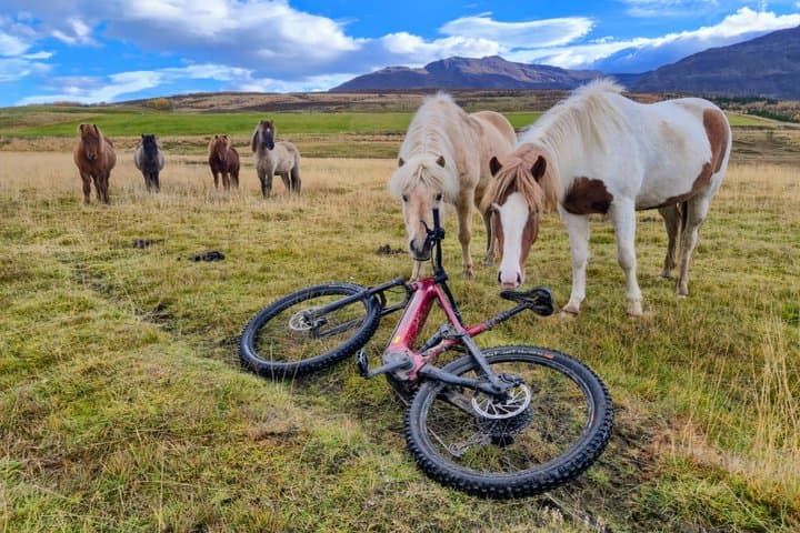 Svarfadadalur Private E MTB Tour